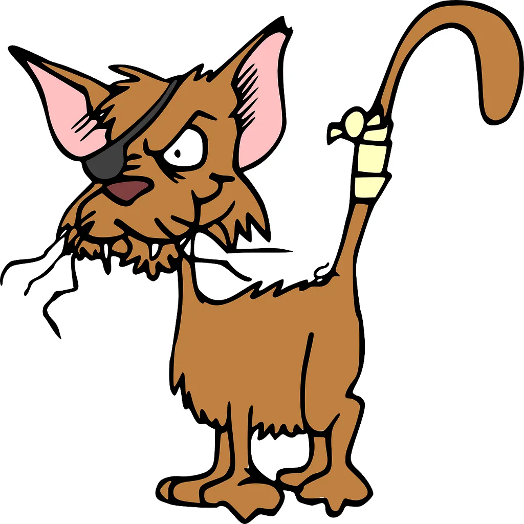 Qué significa soñar con un gato herido | 3 INTERPRETACIONES