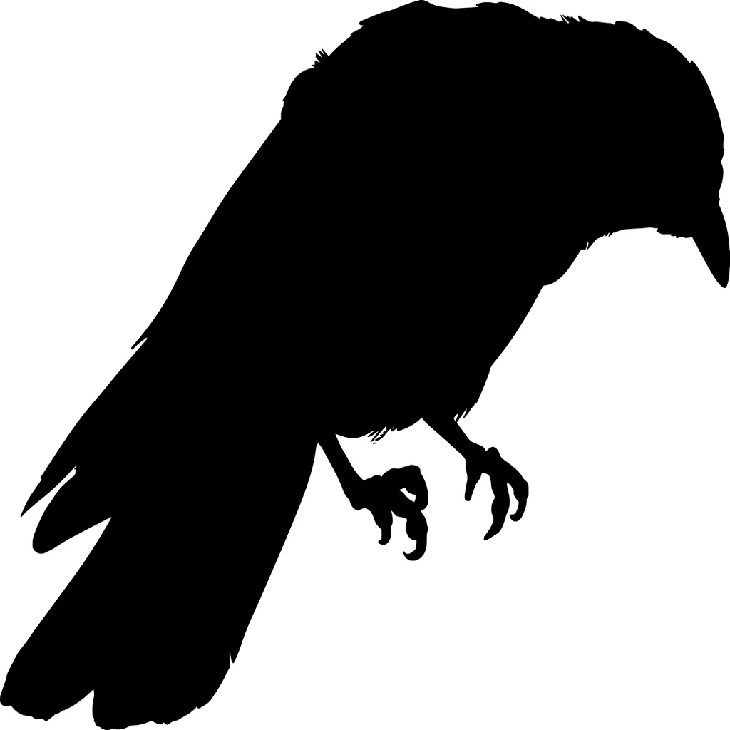 Qué significa soñar con un cuervo negro | 1 INTERPRETACIÓN